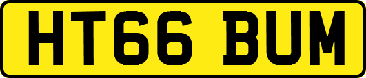 HT66BUM