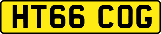 HT66COG