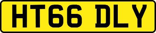 HT66DLY