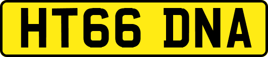 HT66DNA