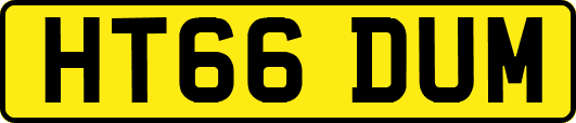 HT66DUM