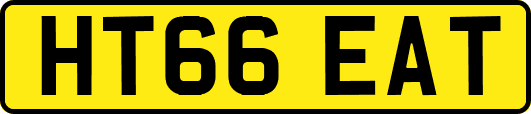 HT66EAT