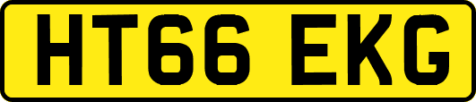 HT66EKG