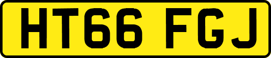 HT66FGJ