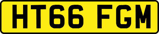 HT66FGM