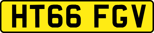 HT66FGV