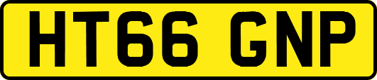 HT66GNP
