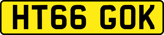 HT66GOK