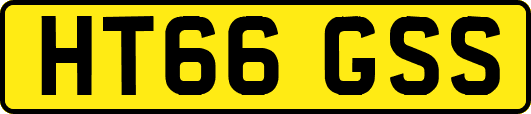 HT66GSS