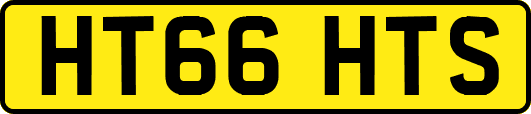 HT66HTS