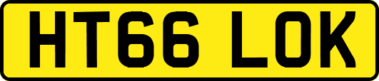 HT66LOK