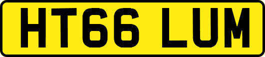 HT66LUM
