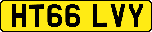 HT66LVY