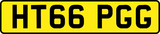 HT66PGG