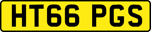 HT66PGS