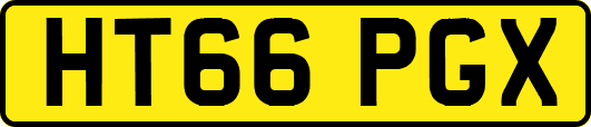 HT66PGX