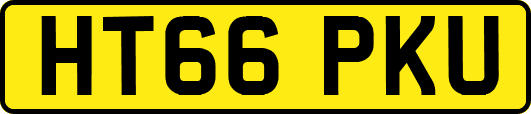 HT66PKU