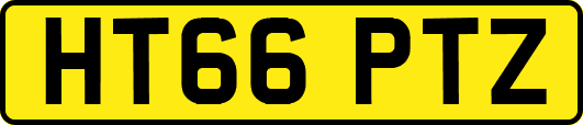 HT66PTZ