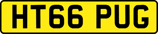 HT66PUG