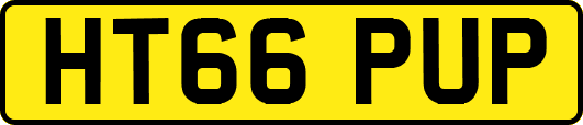 HT66PUP