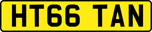 HT66TAN