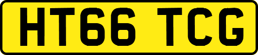 HT66TCG