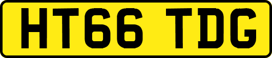 HT66TDG