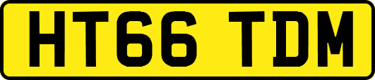 HT66TDM
