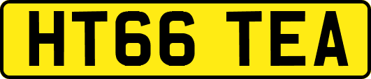 HT66TEA