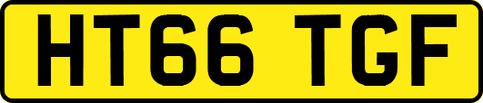 HT66TGF