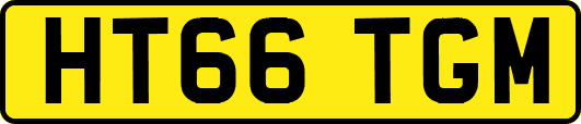 HT66TGM