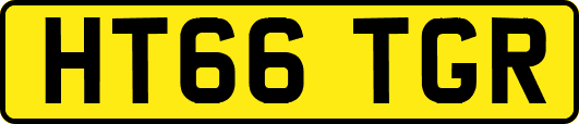 HT66TGR