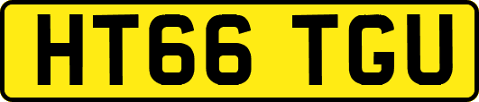HT66TGU
