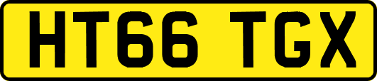 HT66TGX