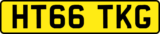 HT66TKG