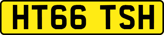 HT66TSH
