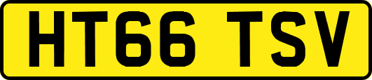 HT66TSV