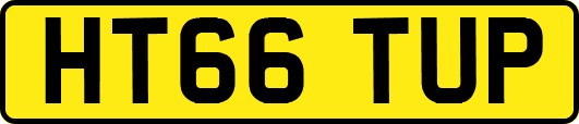 HT66TUP