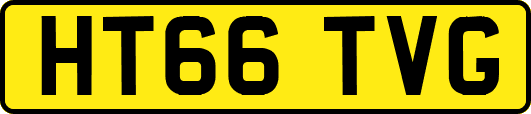 HT66TVG