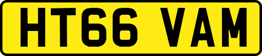 HT66VAM