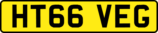 HT66VEG