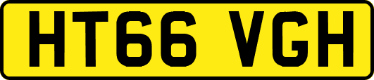 HT66VGH
