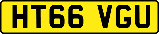HT66VGU