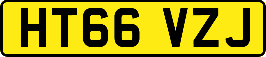 HT66VZJ