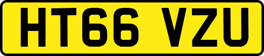 HT66VZU