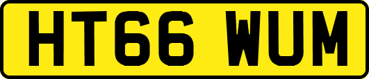 HT66WUM