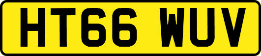 HT66WUV