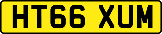 HT66XUM