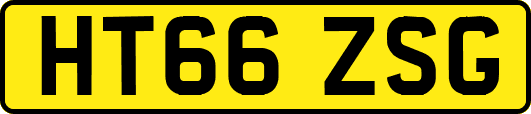 HT66ZSG