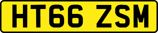 HT66ZSM
